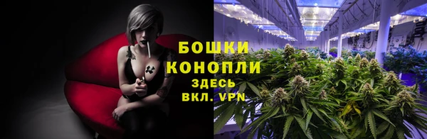 PSILOCYBIN Волоколамск