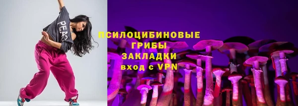 PSILOCYBIN Волоколамск