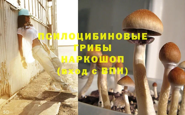 Альфа ПВП Великий Новгород