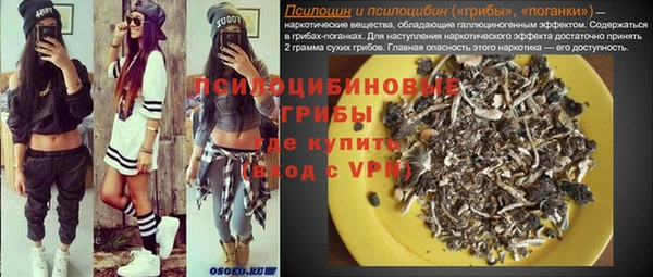 PSILOCYBIN Волоколамск