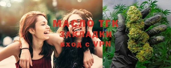 spice Бородино