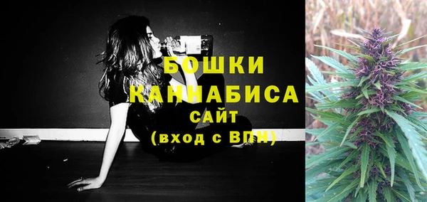 гидра Бронницы