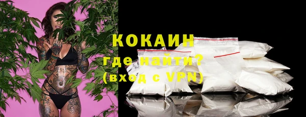 spice Бородино